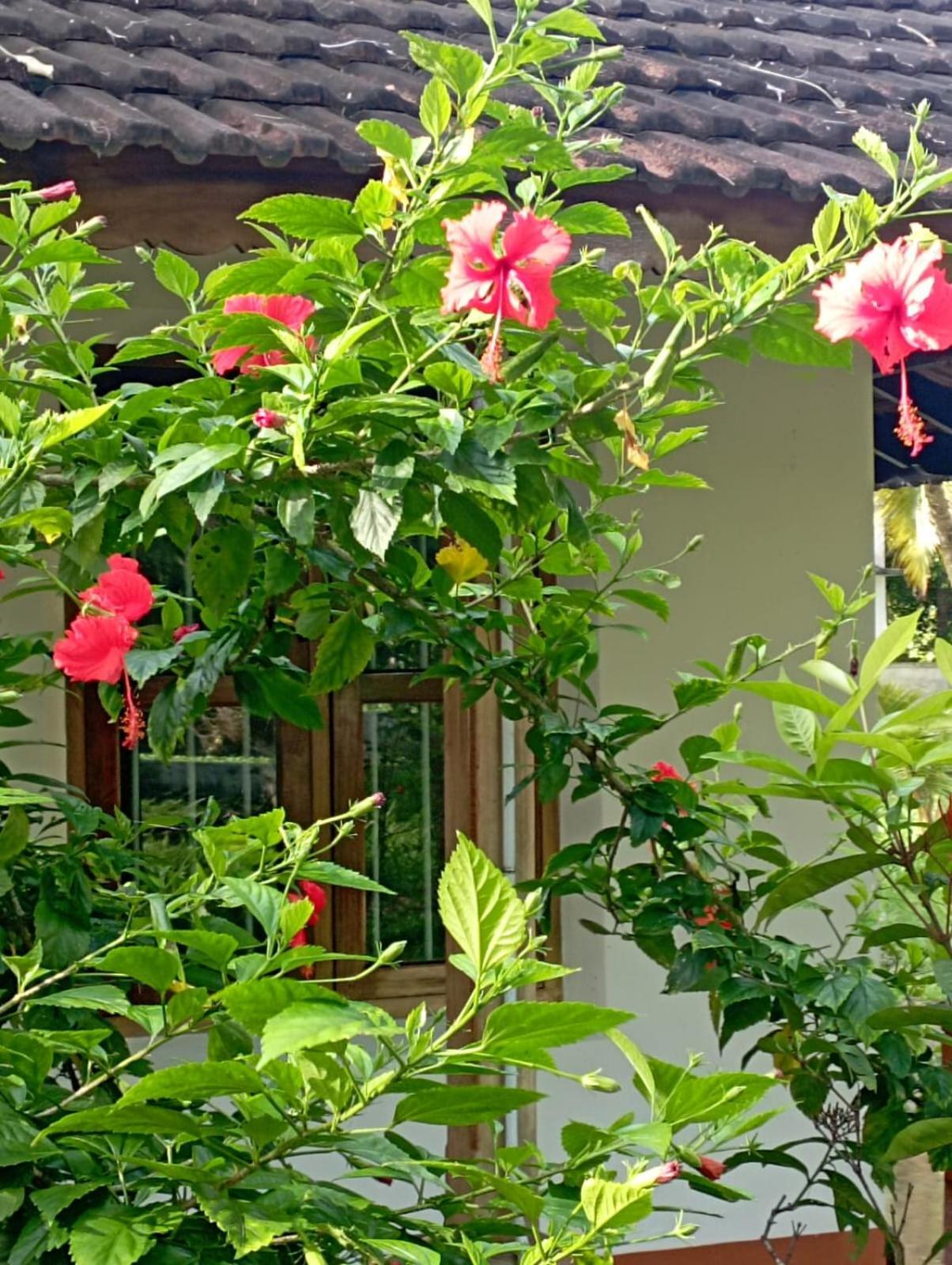 Gramam Homestay, Cochin Kochi Bagian luar foto